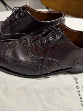 Alden Style 976 - Long Wing Blucher (Dark Brown Calfskin) size 11